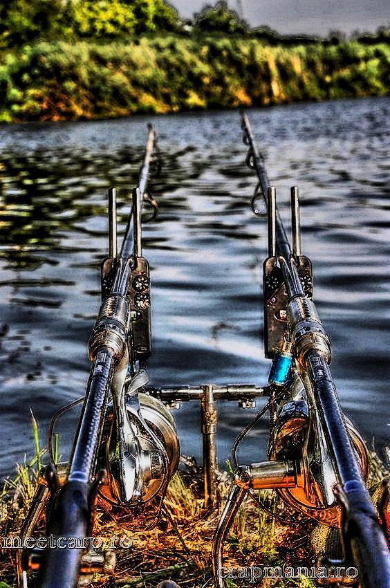 Meet Carp Romanian Awards - 2012 - img6271-hdrmode3.jpg